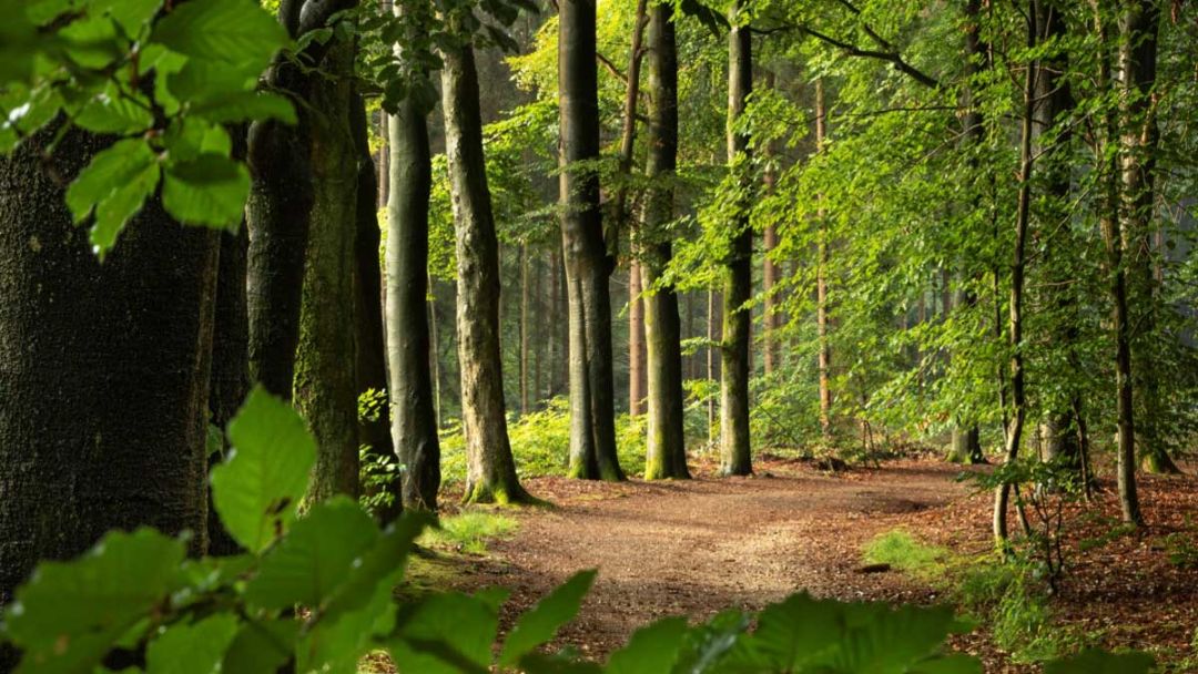 Nelleke Van de Bunt-Schouten