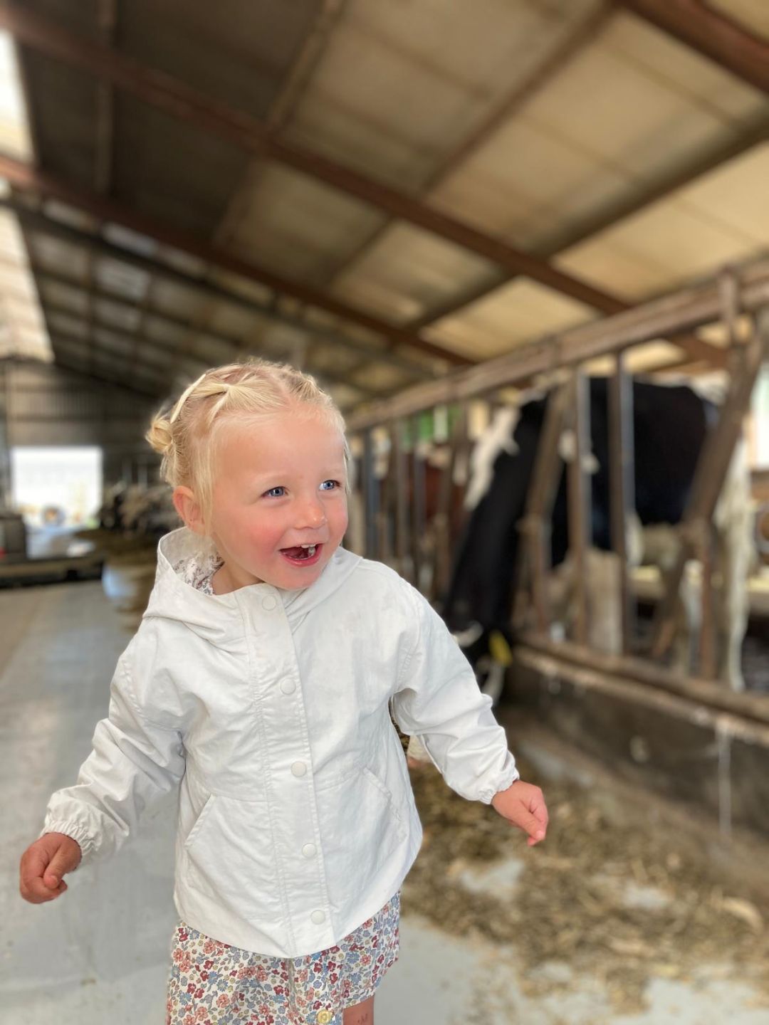Marlies Verwoert